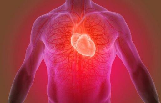 ​心跳越快血管越危险 缓解心跳加剧降低心率的方法