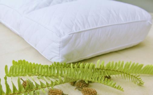​枕头不对睡眠成颈椎病帮凶 选购合适的枕头学问多
