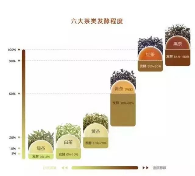 茶叶发酵的差异水平