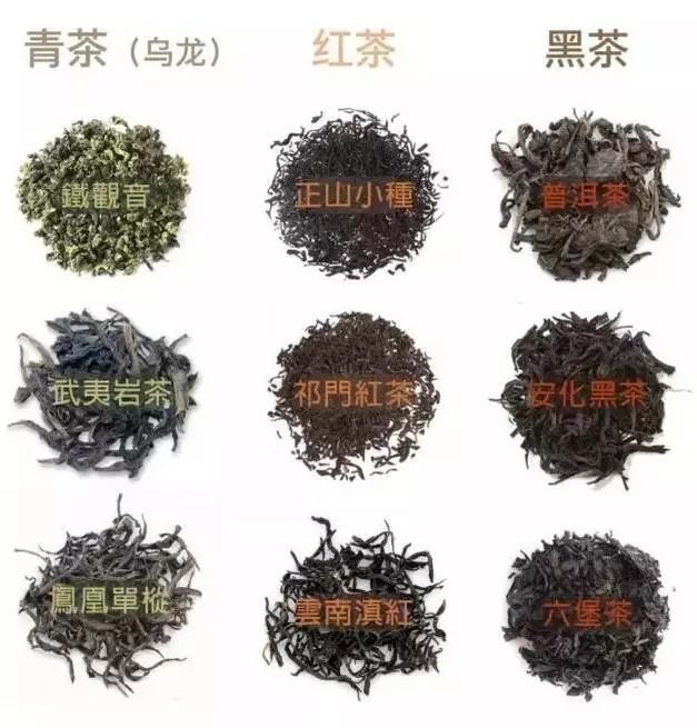 青茶红茶黑茶品类 青茶红茶黑茶品类