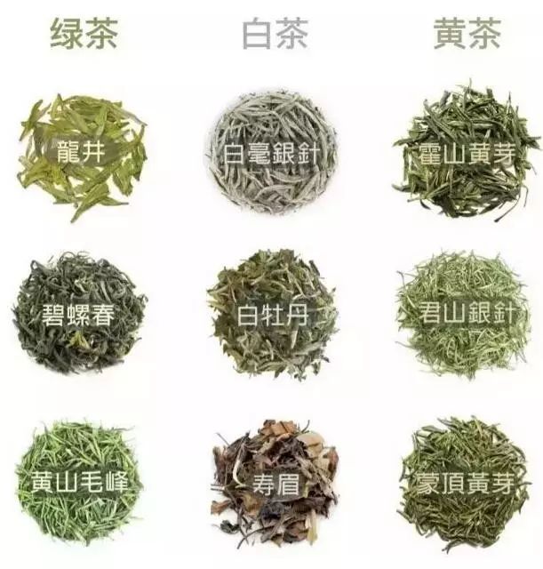 绿茶白茶黄茶品类 绿茶白茶黄茶品类