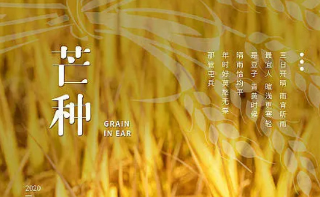 2024芒种节气是哪天 芒种的习俗有哪些?