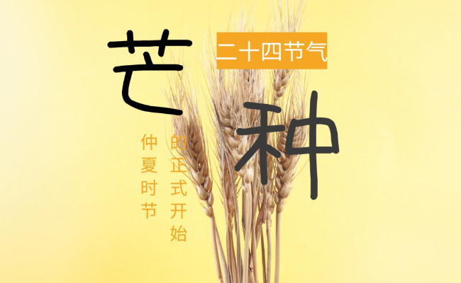 2024芒种节气是哪天 芒种的习俗有哪些?