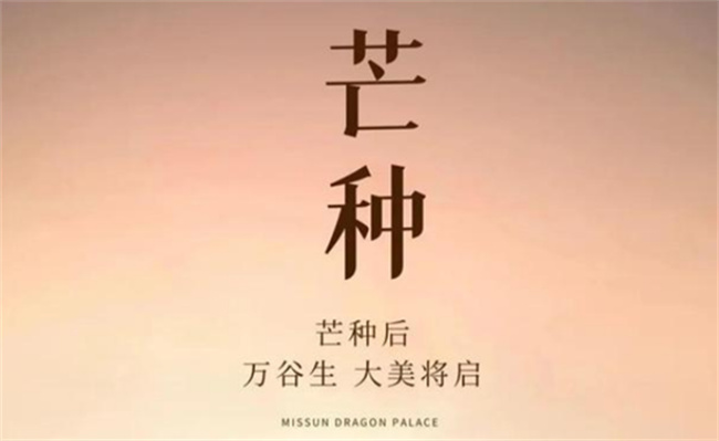 2023芒种节气是在哪一天?