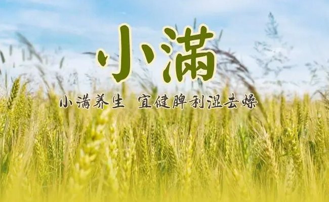 小满来了 养生为何别太“满”?