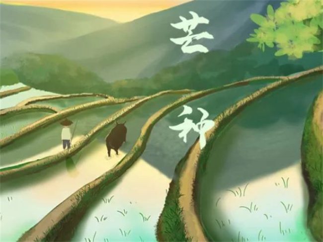 2023的芒种时间几月几日几点几分 有什么风俗习惯?