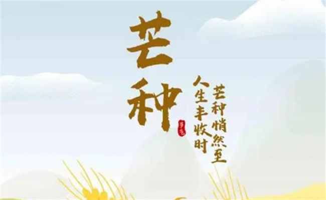 2023芒种节气是在哪一天?