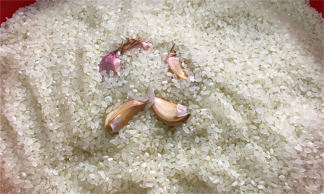 大米怎么保存不生虫子(大米冷藏好还是冷冻好呢)