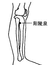 高血压病的拔罐疗法[图]